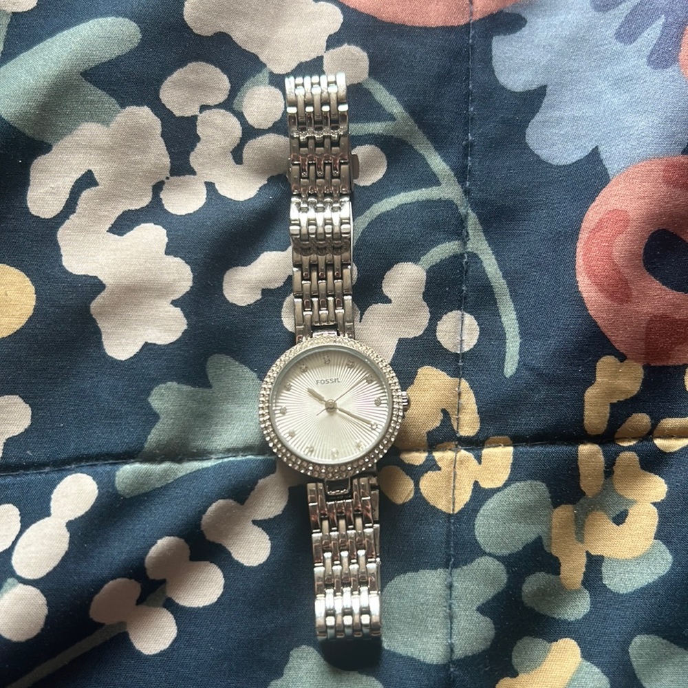 Fossils watch